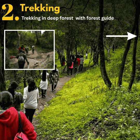 Marayur wild stay (19)